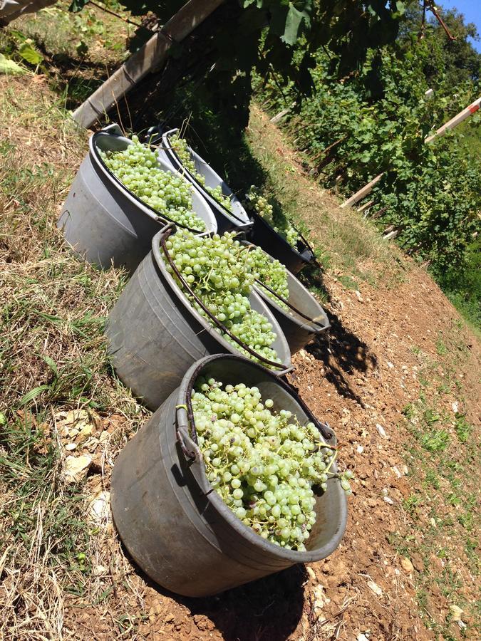 Azienda Agricola Campion Alojamento de Turismo Rural
