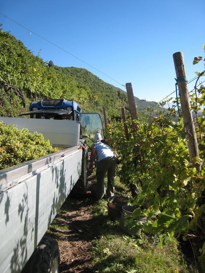 Azienda Agricola Campion Alojamento de Turismo Rural *