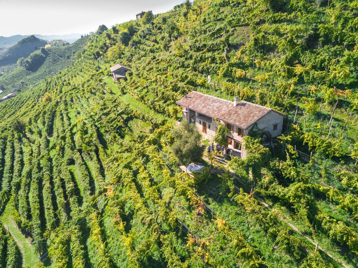 Azienda Agricola Campion