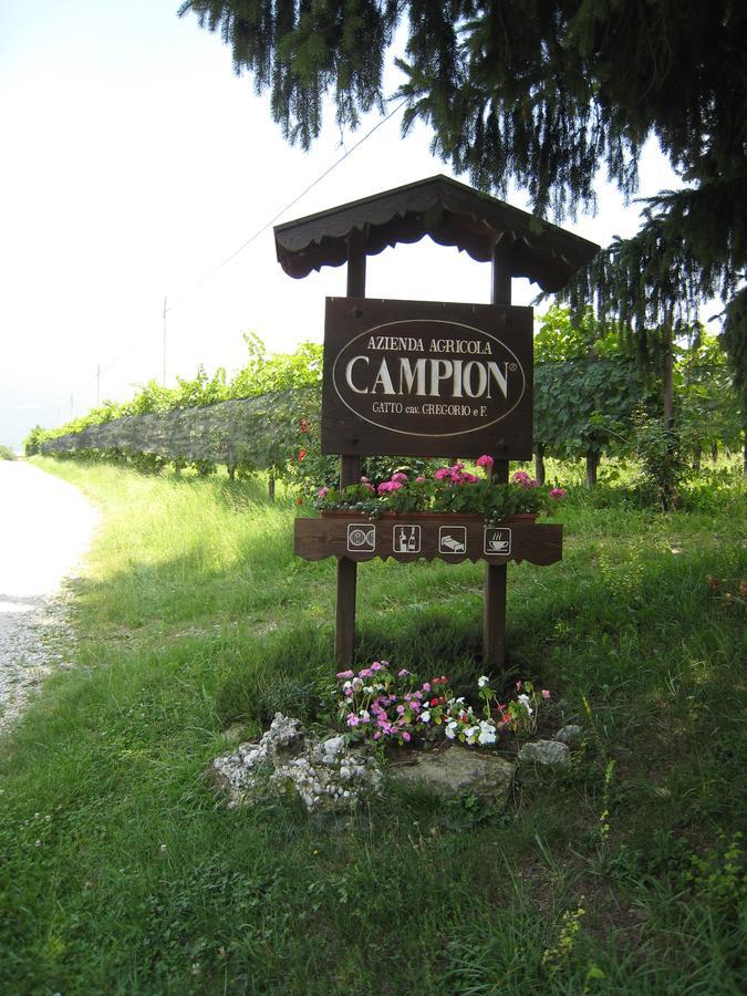 Azienda Agricola Campion