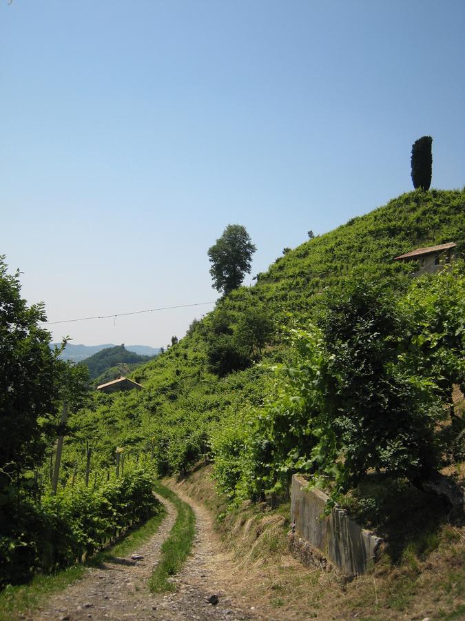 Farm stay Azienda Agricola Campion Valdobbiadene